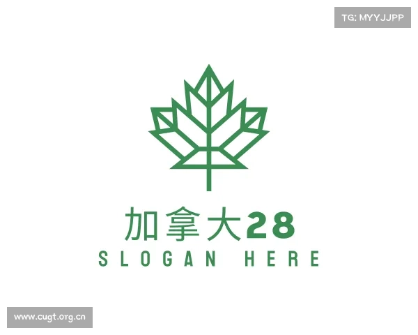 解读加拿大28